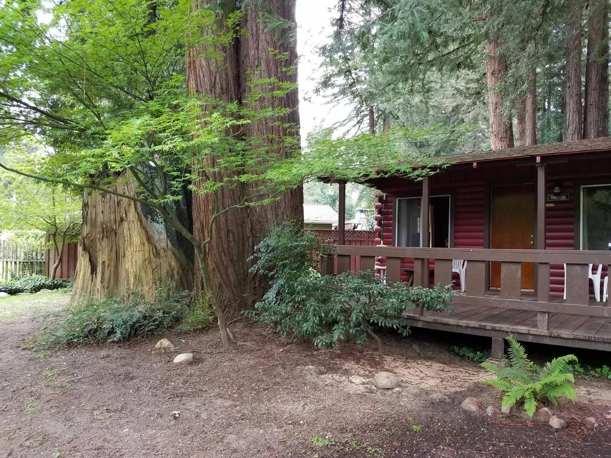 Fern River Resort Felton Exterior photo