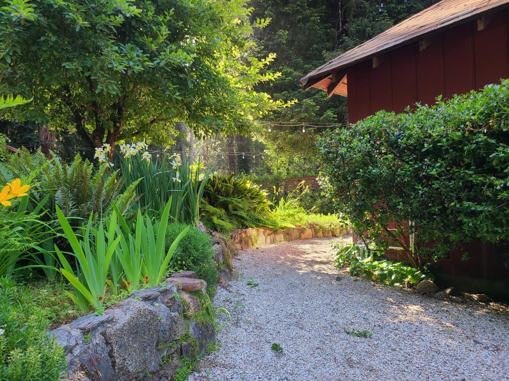 Fern River Resort Felton Exterior photo